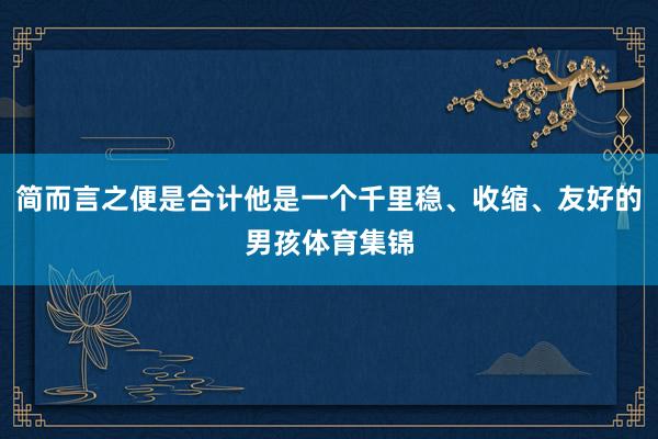 简而言之便是合计他是一个千里稳、收缩、友好的男孩体育集锦