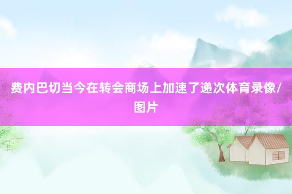 费内巴切当今在转会商场上加速了递次体育录像/图片