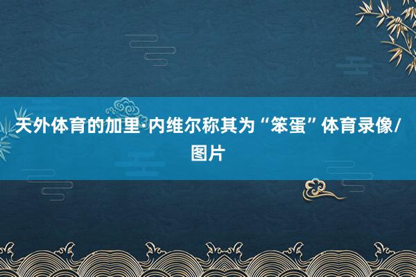 天外体育的加里·内维尔称其为“笨蛋”体育录像/图片