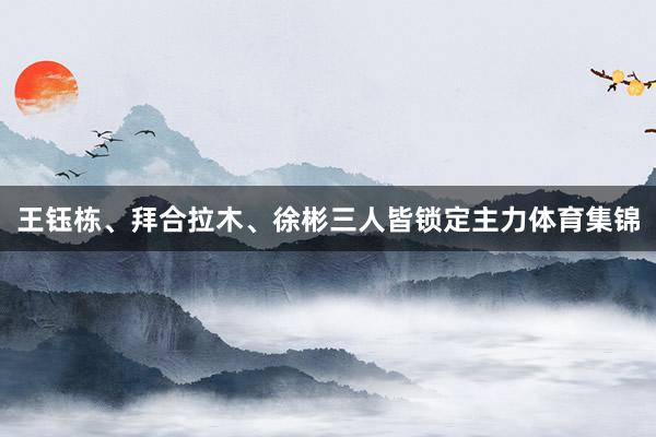 王钰栋、拜合拉木、徐彬三人皆锁定主力体育集锦