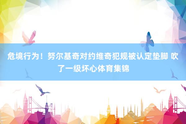 危境行为！努尔基奇对约维奇犯规被认定垫脚 吹了一级坏心体育集锦