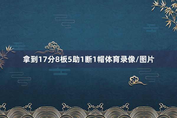 拿到17分8板5助1断1帽体育录像/图片