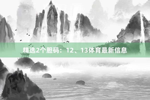 精选2个胆码：12、13体育最新信息