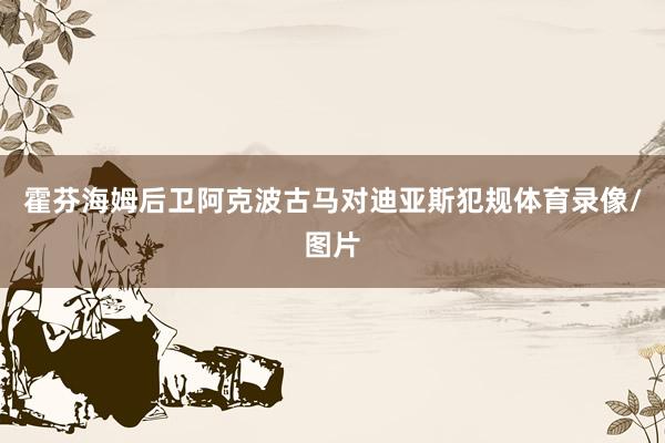 霍芬海姆后卫阿克波古马对迪亚斯犯规体育录像/图片