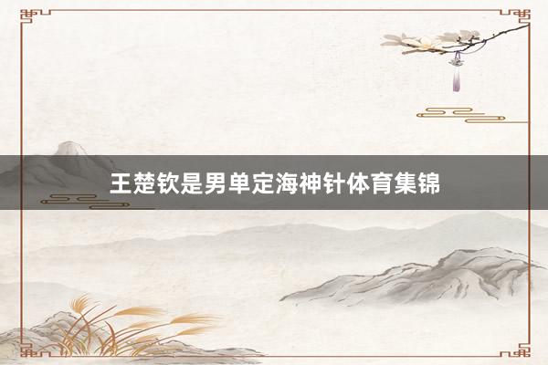王楚钦是男单定海神针体育集锦