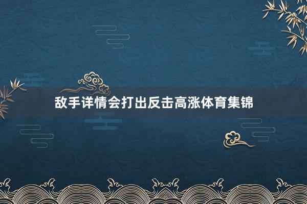 敌手详情会打出反击高涨体育集锦