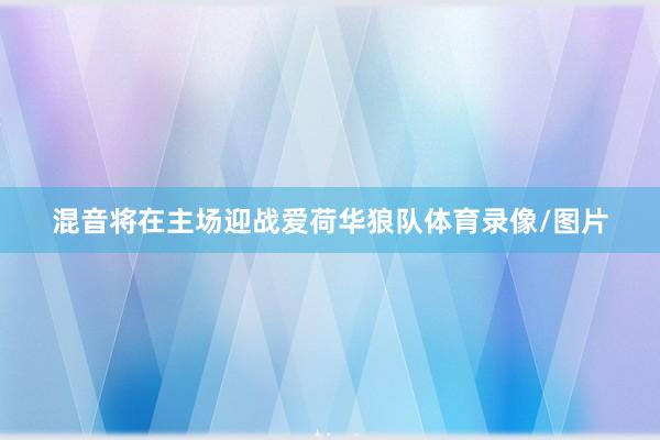 混音将在主场迎战爱荷华狼队体育录像/图片