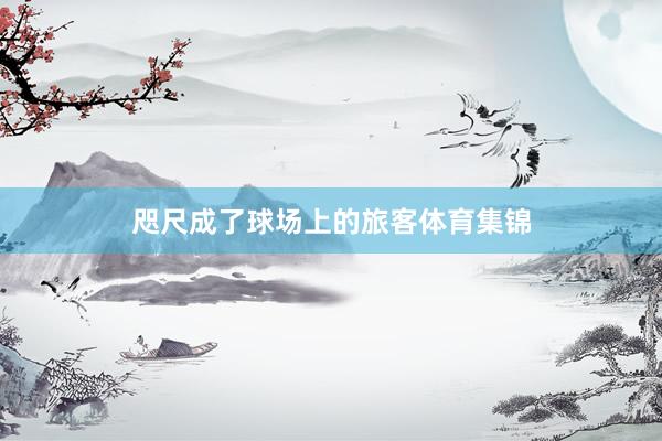 咫尺成了球场上的旅客体育集锦