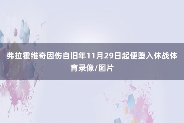 弗拉霍维奇因伤自旧年11月29日起便堕入休战体育录像/图片