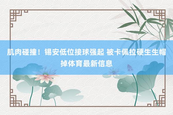 肌肉碰撞！锡安低位接球强起 被卡佩拉硬生生帽掉体育最新信息