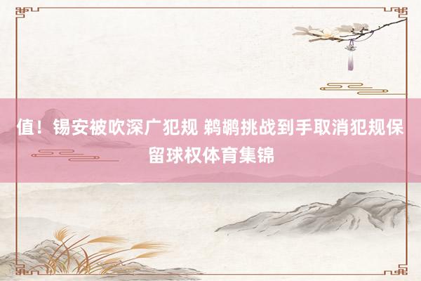 值！锡安被吹深广犯规 鹈鹕挑战到手取消犯规保留球权体育集锦
