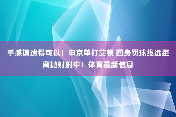 手感调遣得可以！申京单打艾顿 回身罚球线远距离抛射射中！体育最新信息