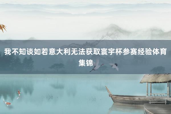 我不知谈如若意大利无法获取寰宇杯参赛经验体育集锦