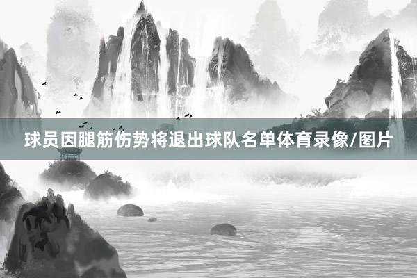 球员因腿筋伤势将退出球队名单体育录像/图片