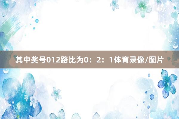其中奖号012路比为0：2：1体育录像/图片