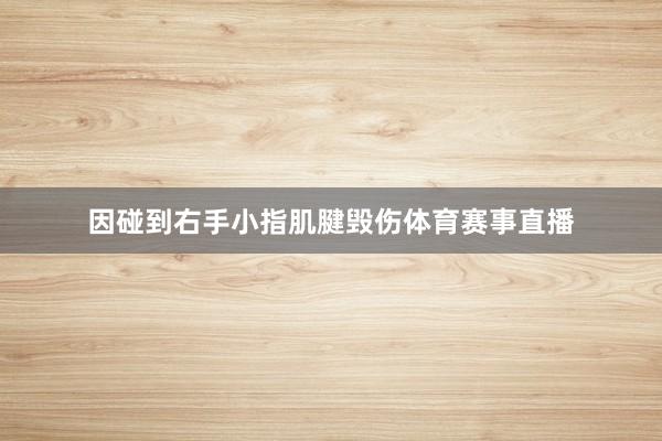 因碰到右手小指肌腱毁伤体育赛事直播