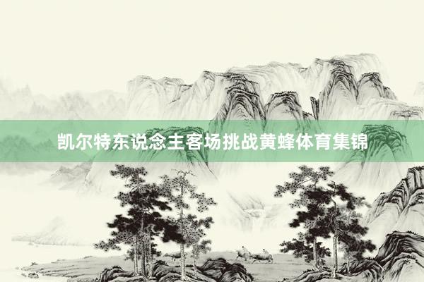 凯尔特东说念主客场挑战黄蜂体育集锦