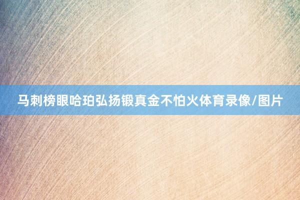 马刺榜眼哈珀弘扬锻真金不怕火体育录像/图片