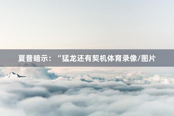 夏普暗示：“猛龙还有契机体育录像/图片
