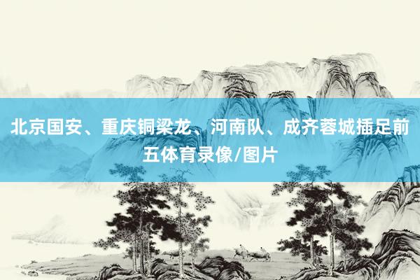 北京国安、重庆铜梁龙、河南队、成齐蓉城插足前五体育录像/图片