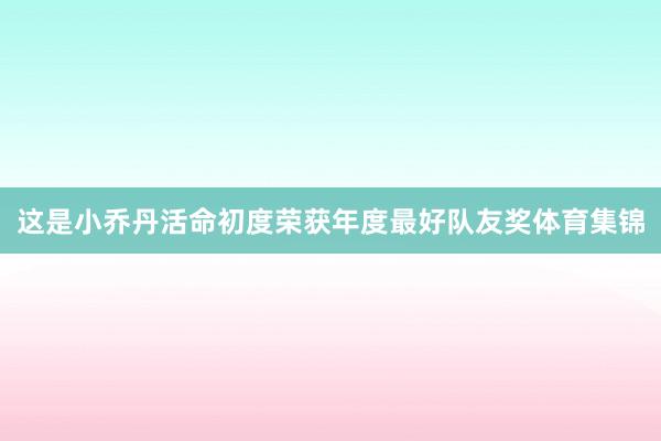 这是小乔丹活命初度荣获年度最好队友奖体育集锦