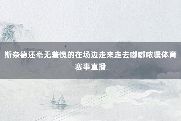 斯奈德还毫无羞愧的在场边走来走去嘟嘟哝囔体育赛事直播