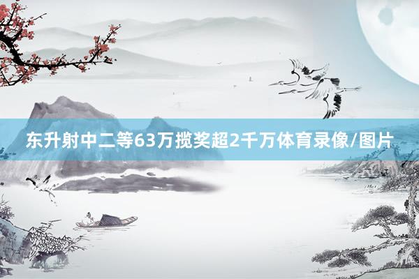 东升射中二等63万揽奖超2千万体育录像/图片