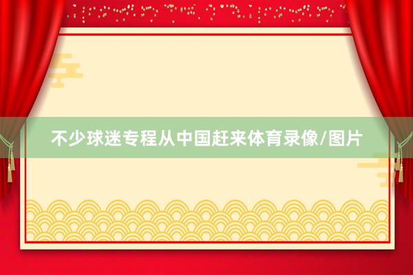 不少球迷专程从中国赶来体育录像/图片