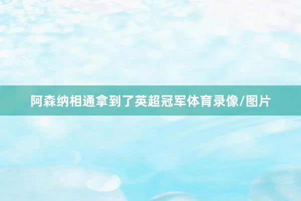 阿森纳相通拿到了英超冠军体育录像/图片