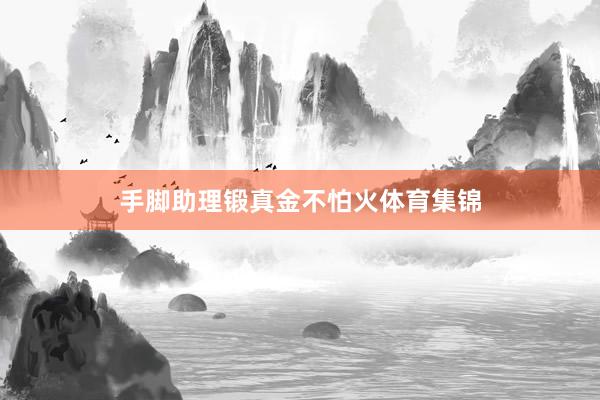 手脚助理锻真金不怕火体育集锦